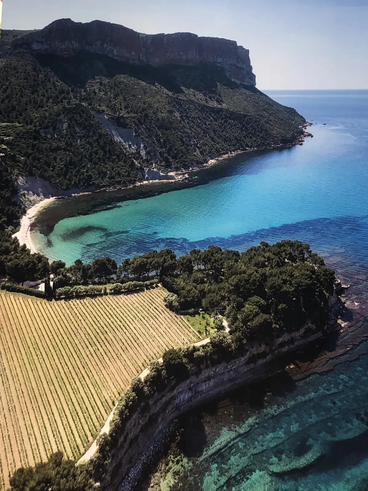 La baie de Cassis vue d’en haut, les vignes descendant vers la mer