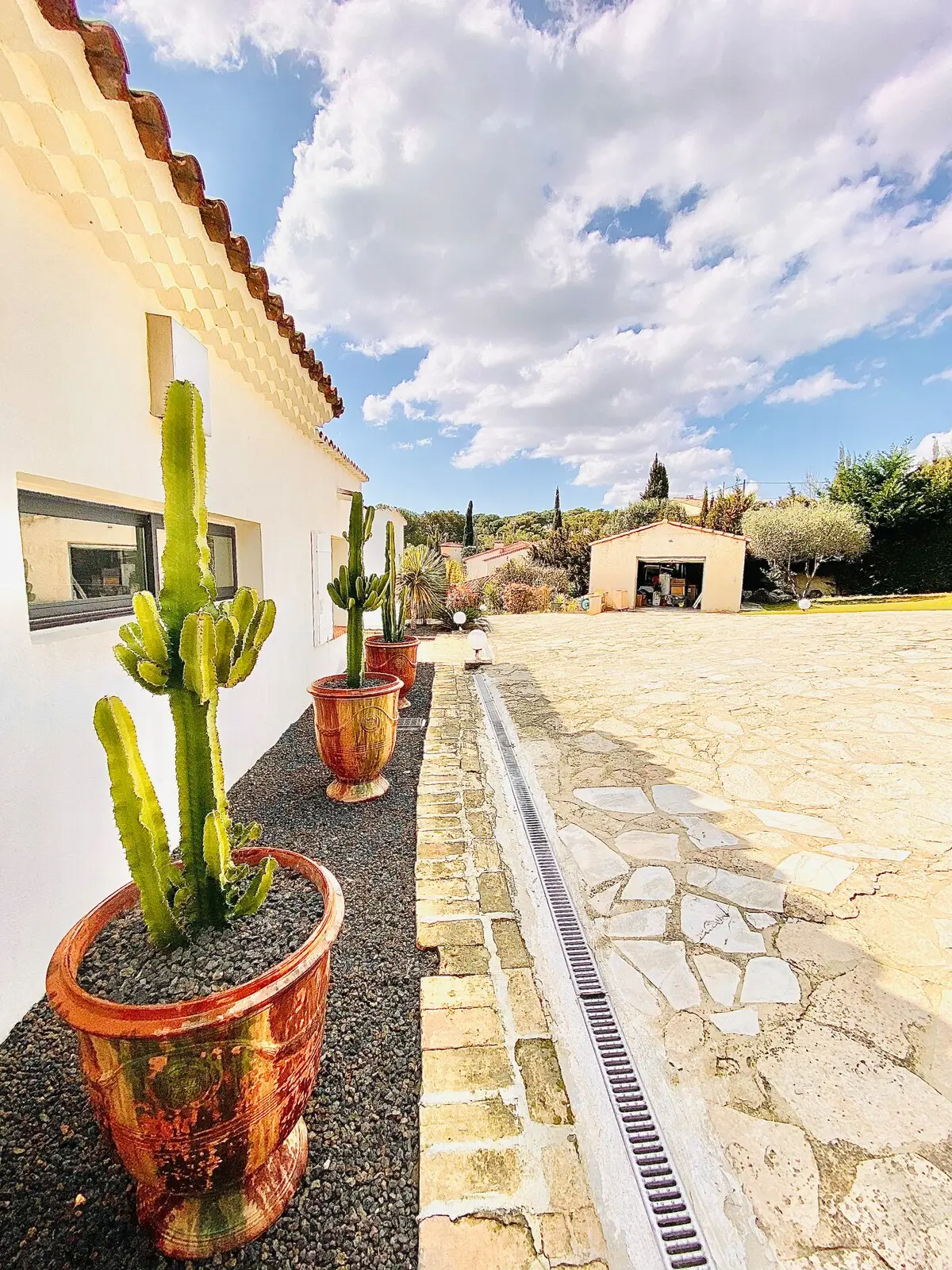 Allée bordée de cactus et de poteries provençales