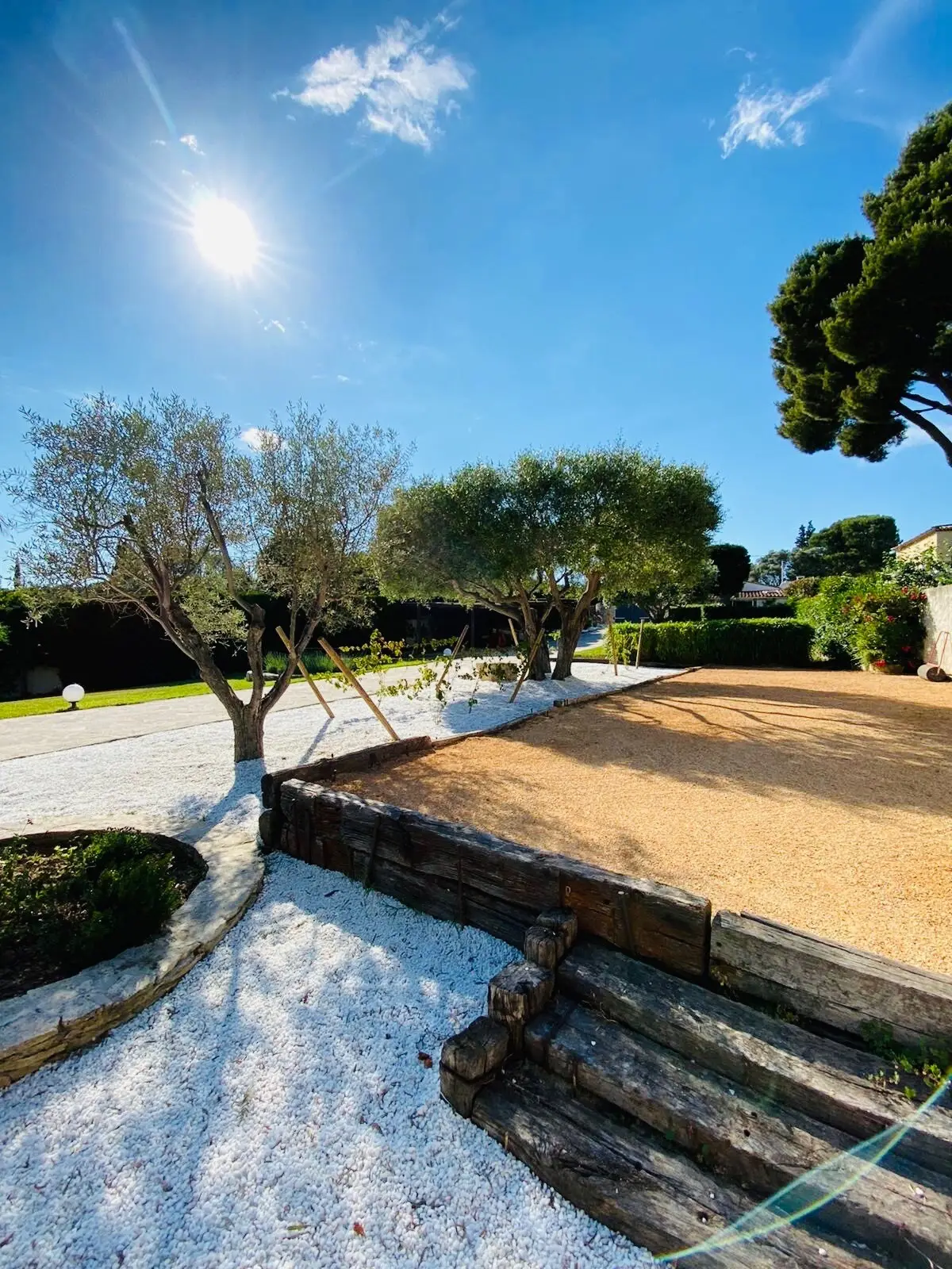 Terrain de pétanque bordé d’oliviers